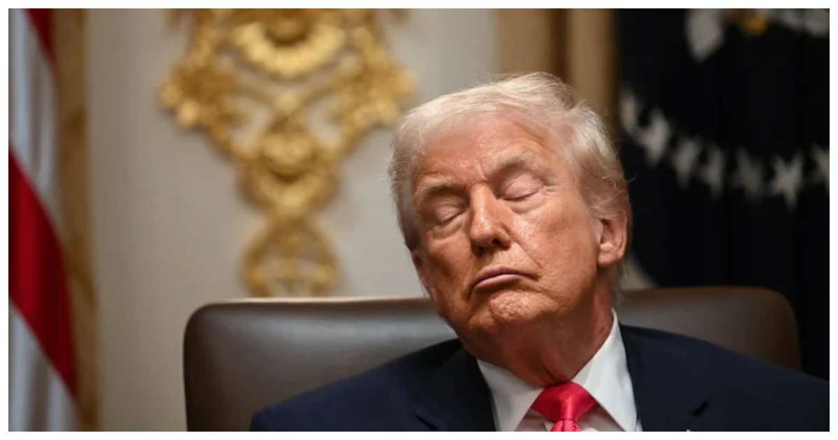 মন্ত্রিসভার বৈঠকে ঘুমন্ত অবস্থায় প্রেসিডেন্ট ডনাল্ড ট্রাম্প। ছবি: এনডিটিভি